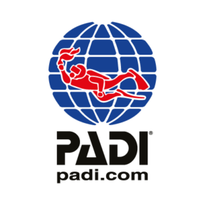 padi vector logo